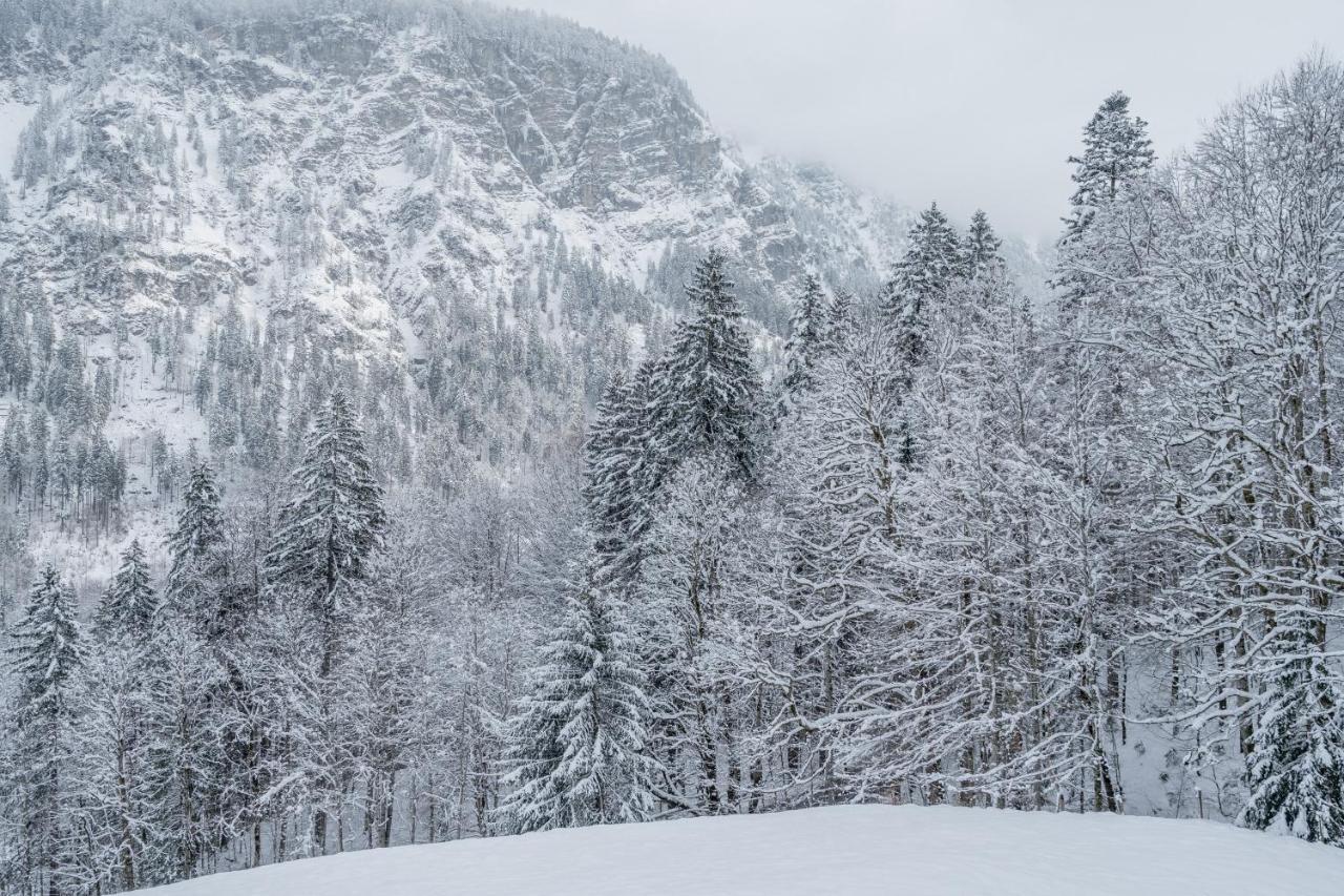 Waldgut Apartment Oberstdorf Luaran gambar