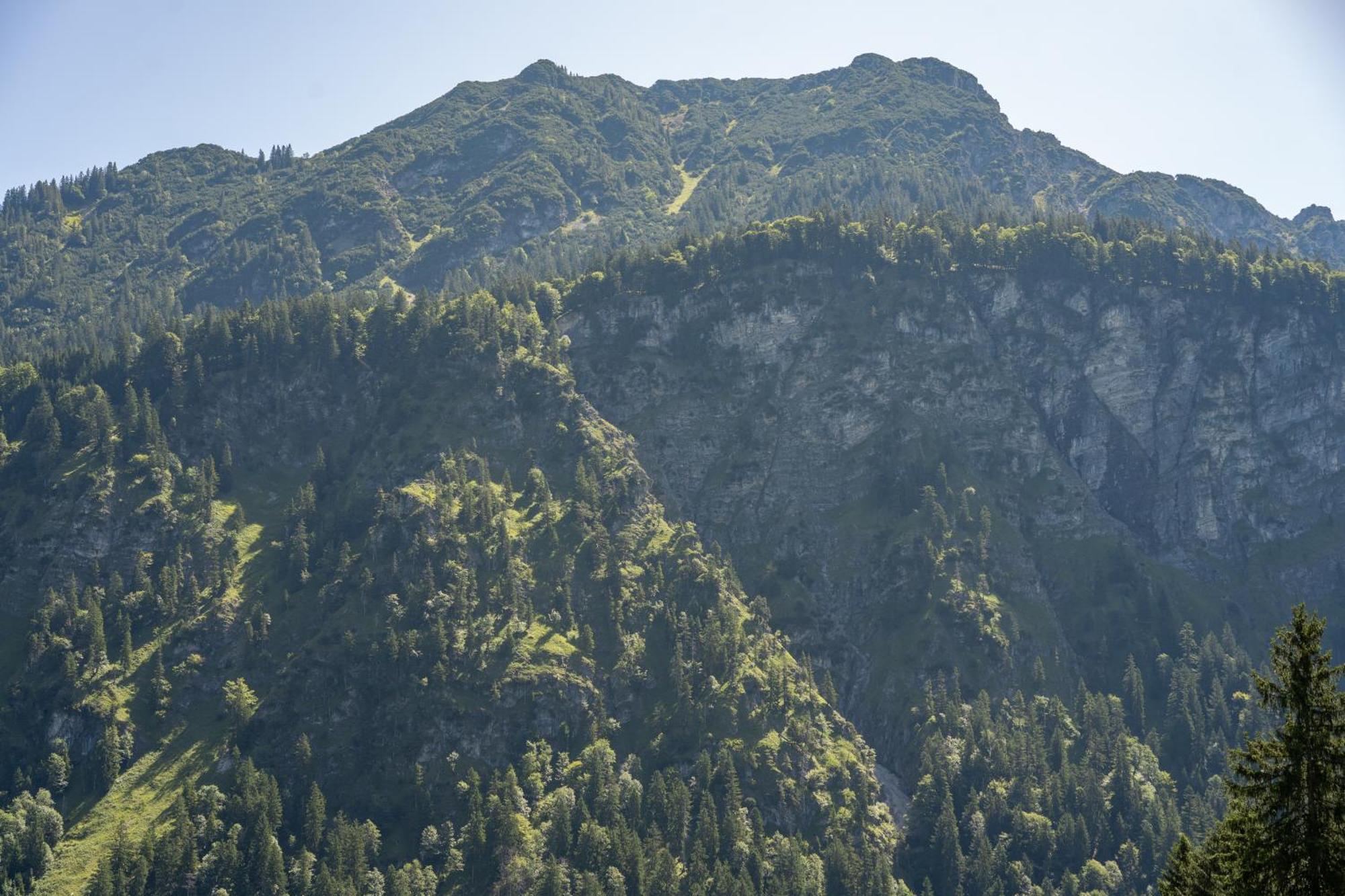 Waldgut Apartment Oberstdorf Luaran gambar